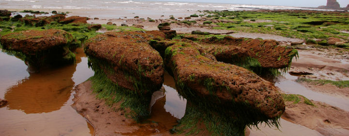 Rocks on Jacob's Ladder beach