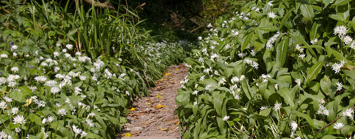 Jacob's Ladder Beach, Sidmouth on a warm spring day, Mrach 2007.