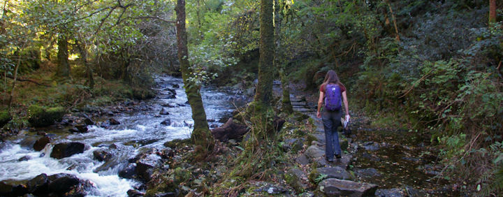 The Okement Valley east of Okehampton on a warm and humid October day.