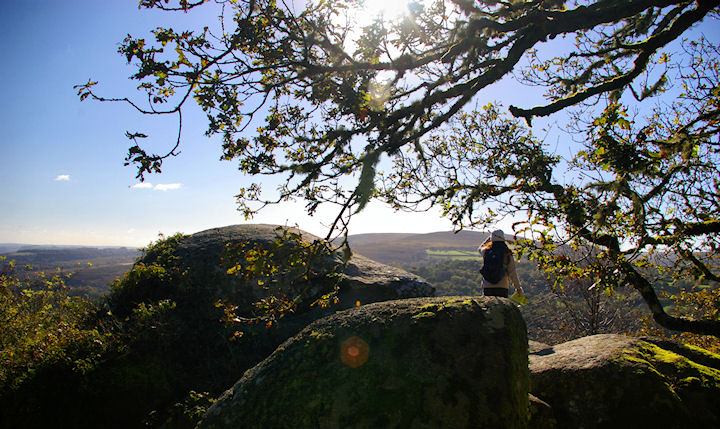 Mushroom Rock, Lustleigh Cleeve, Devon taken on a bright, crisp November day.