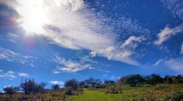 On the edge of Dartmoor near the small village of Scoriton, taken on a bright and breezy October day.