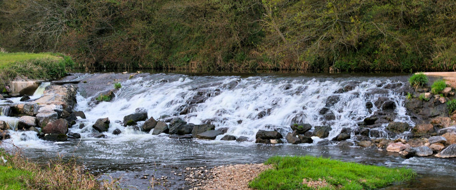 The River Otter at the weir near the Old Mill. A haunt of dippers and the elusive otter.